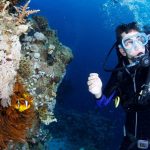 Il Liceo Gioia scopre le bellezze del Mar Rosso a Sharm el Sheikh col progetto sub