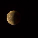 Eclissi di Luna domani. Come e quando vederla