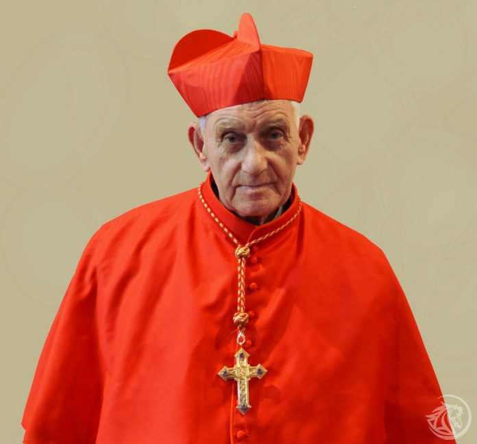 Il racconto della prigionia del cardinal Ernest Simon