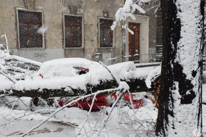 Neve a Piacenza